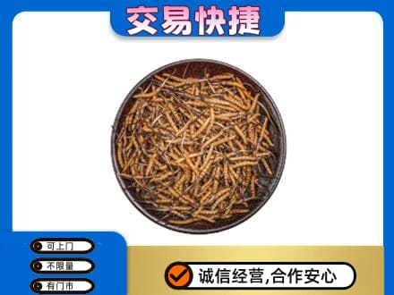 昭通市水富高价回收散虫草